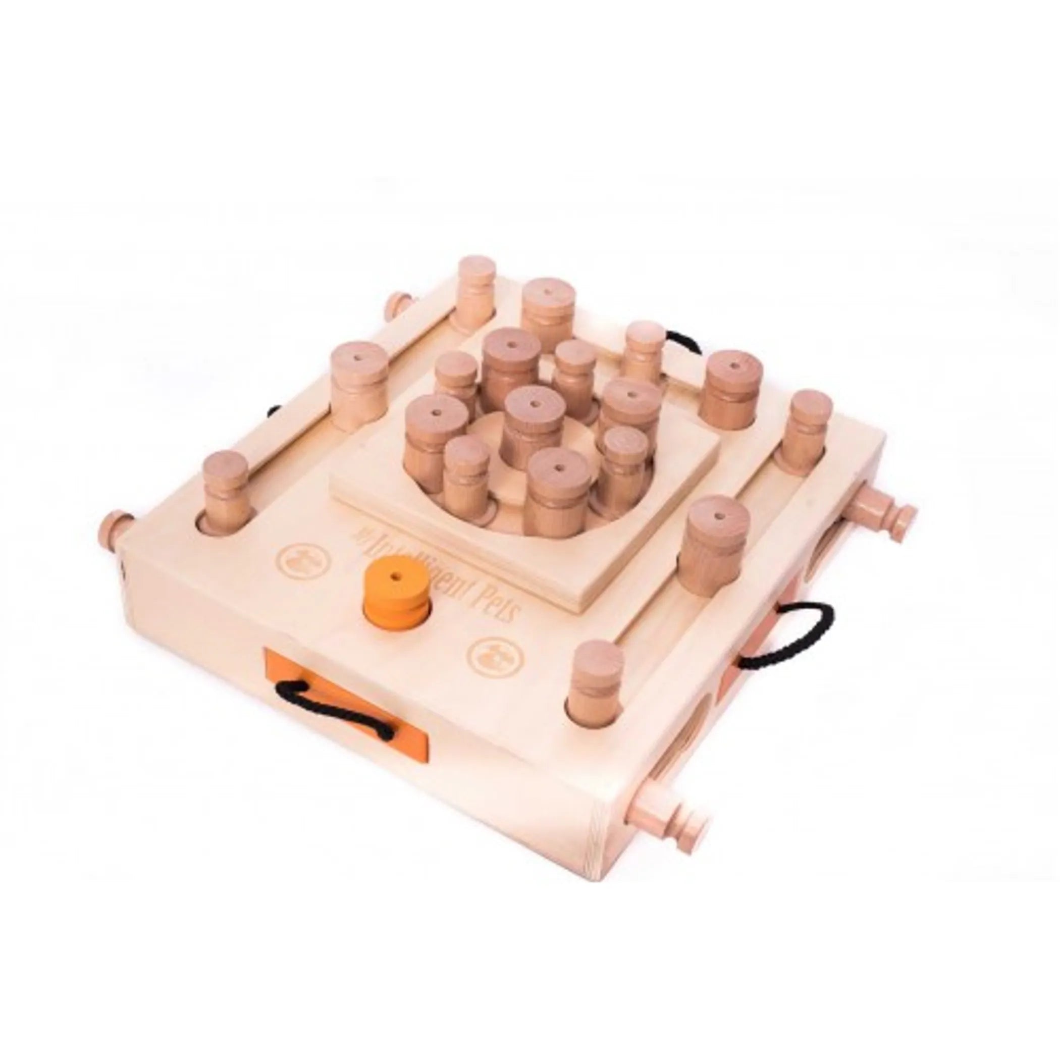 Turtle Dog Treat Puzzle