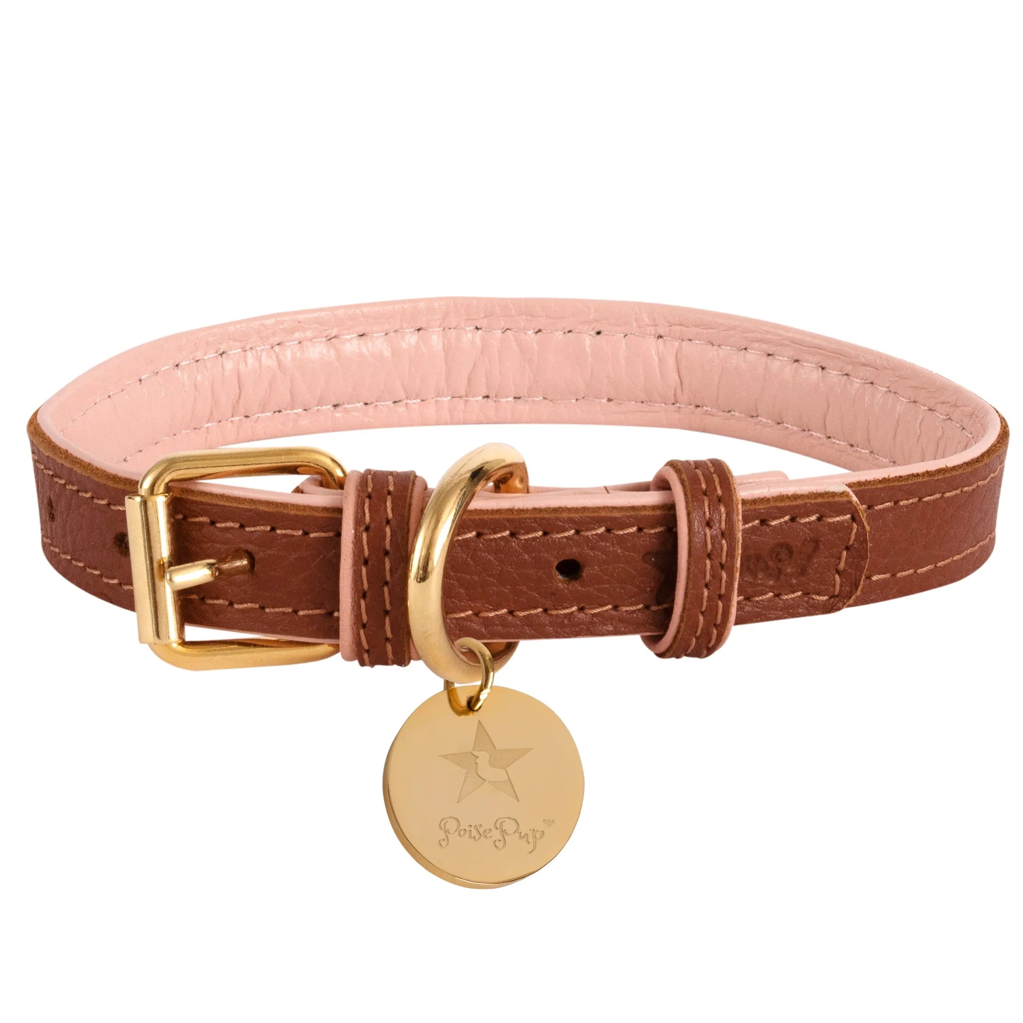 Poise Pup Leather Dog Collar