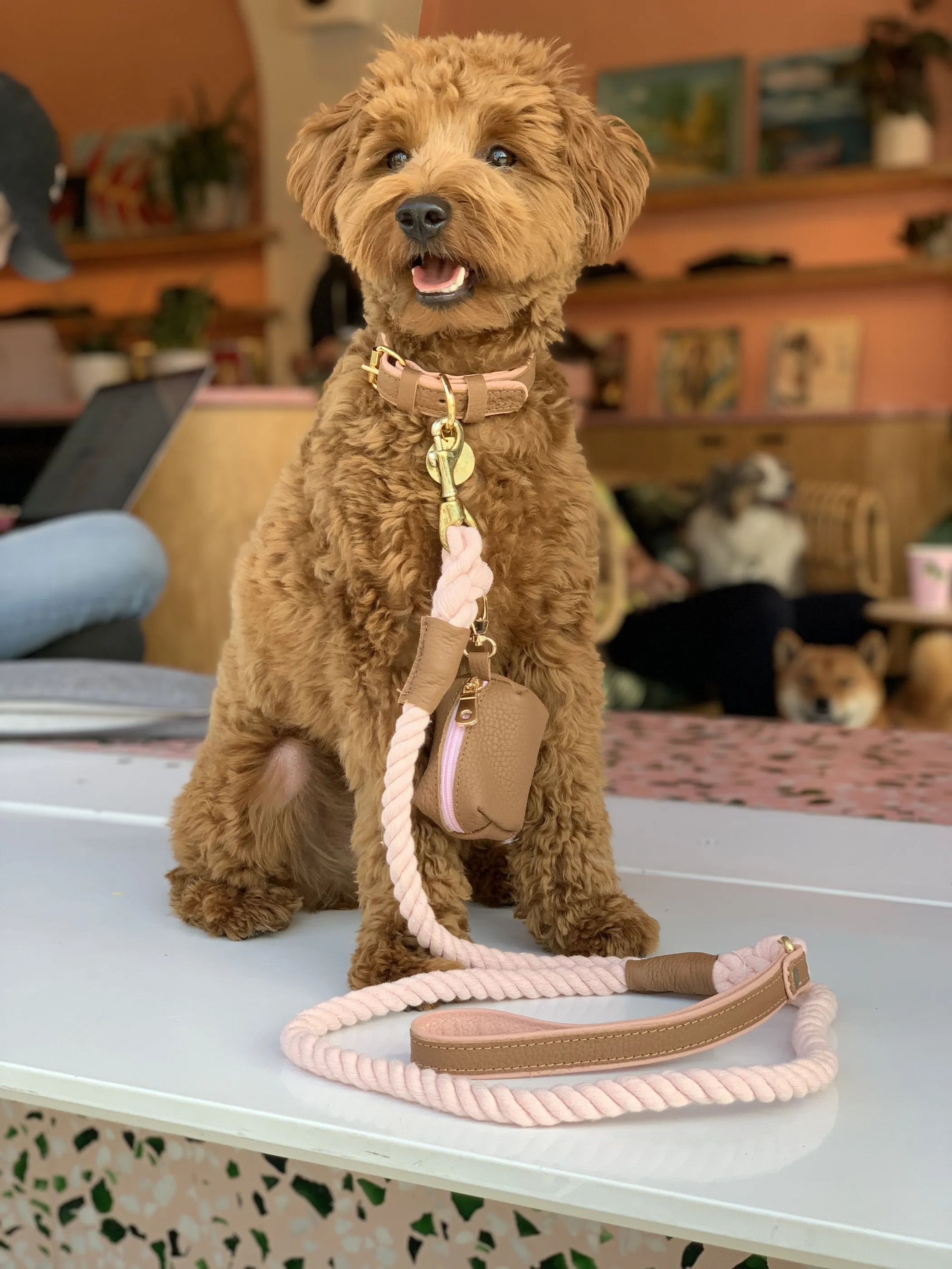 Poise Pup Rope and Leather Dog Leash