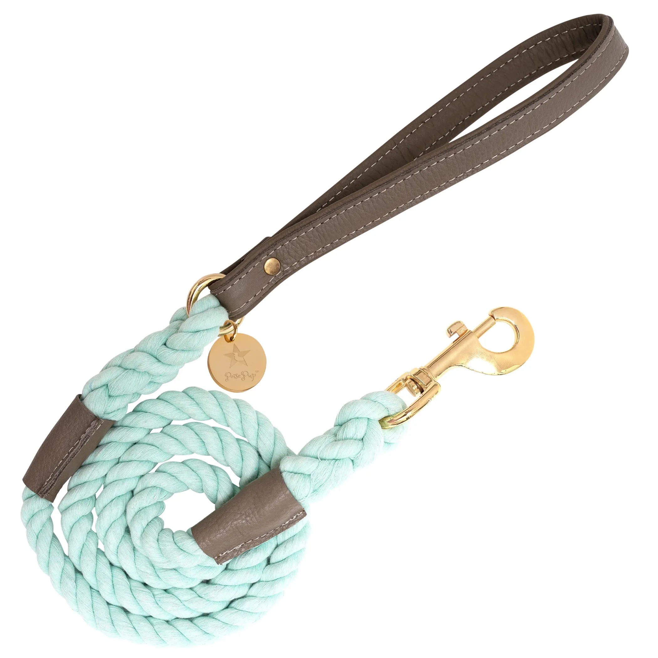 Poise Pup Rope and Leather Dog Leash