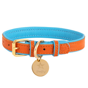 Poise Pup Leather Dog Collar