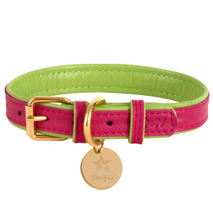 Poise Pup Leather Dog Collar