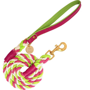 Poise Pup Rope and Leather Dog Leash