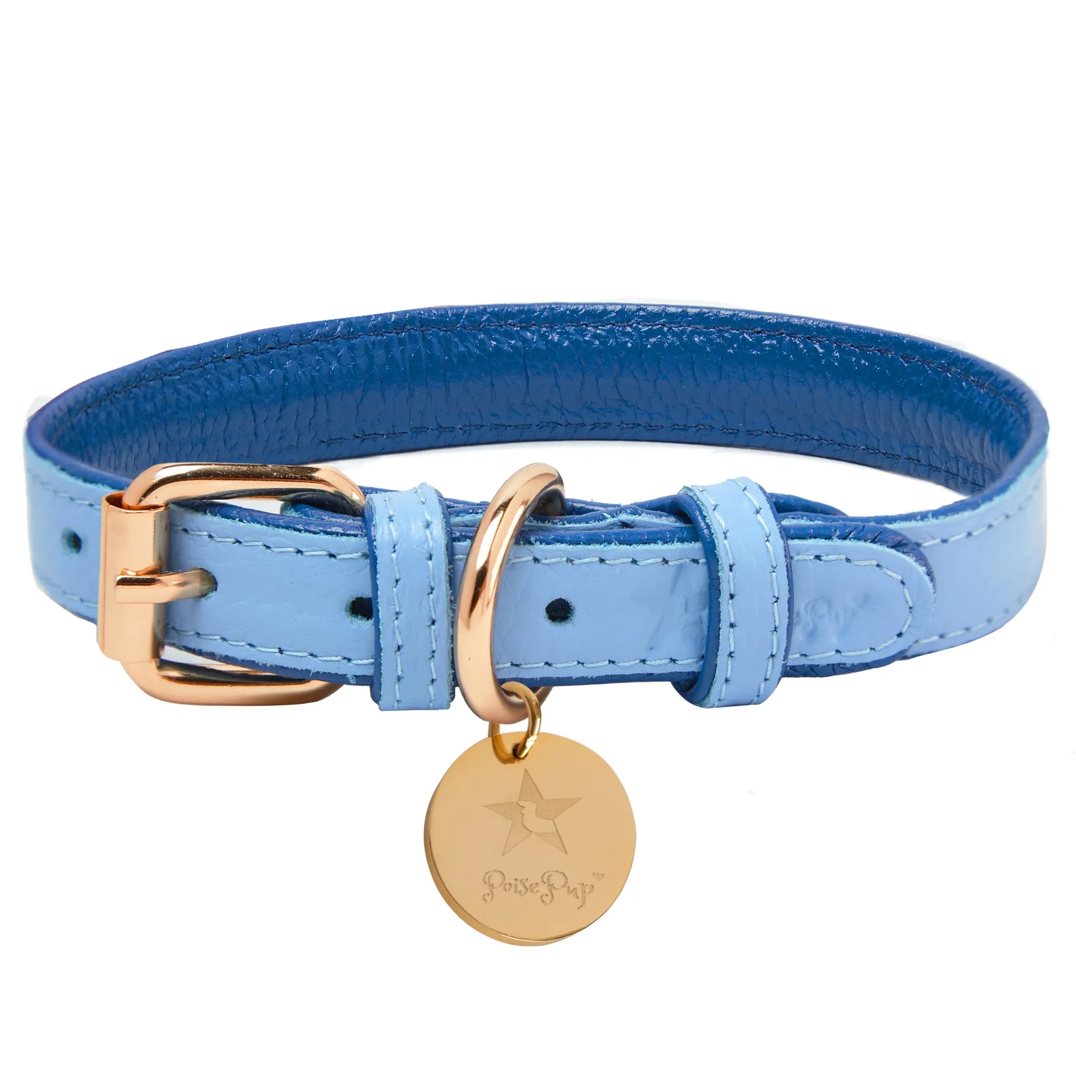 Poise Pup Leather Dog Collar