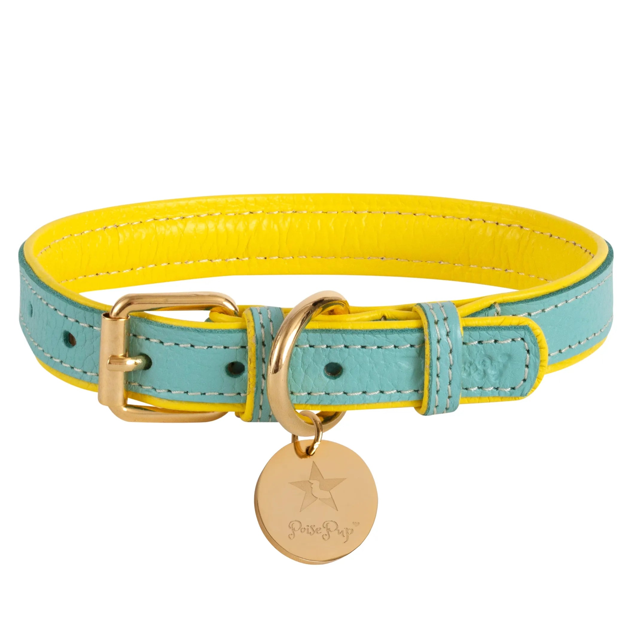 Poise Pup Leather Dog Collar