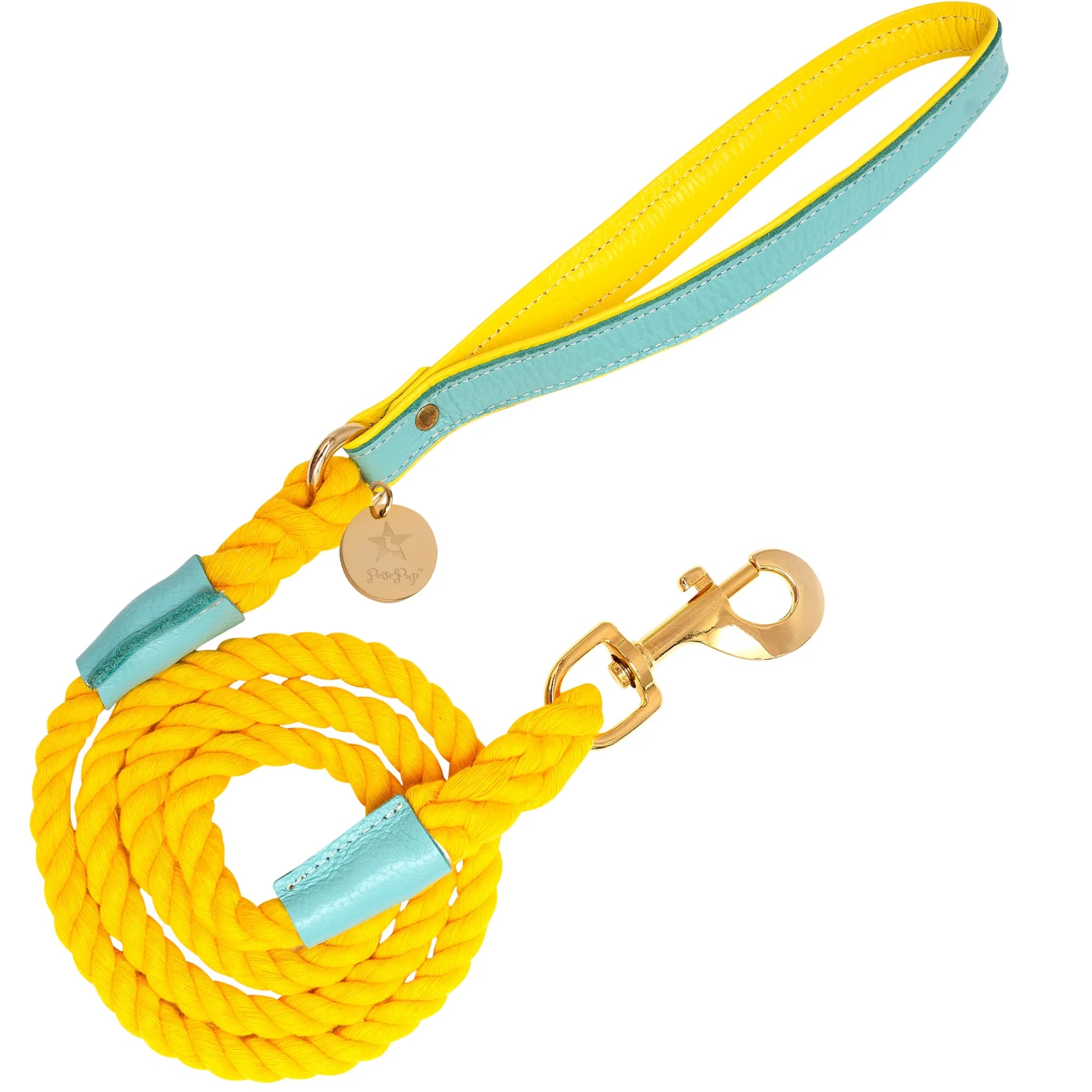 Poise Pup Rope and Leather Dog Leash