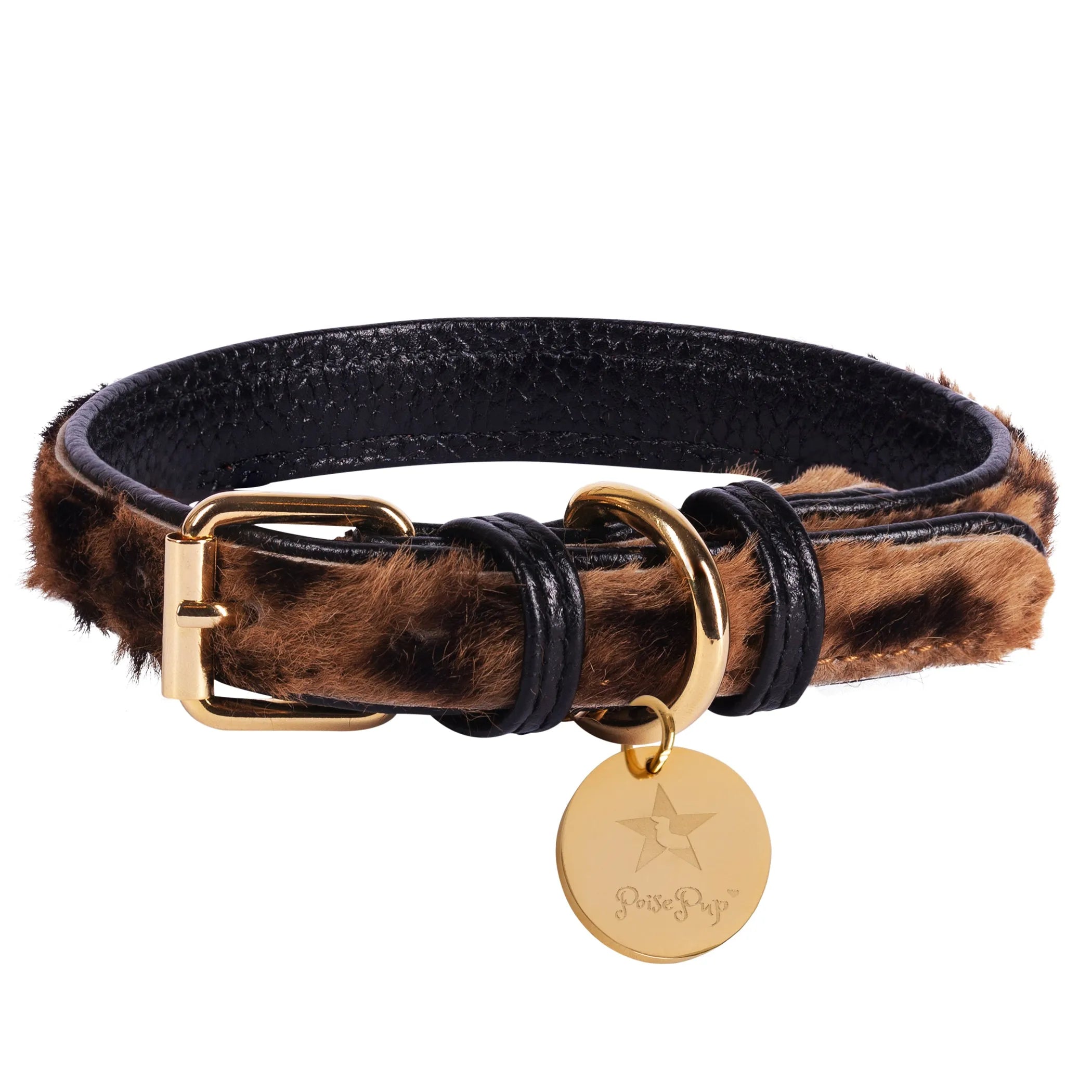 Poise Pup Leather Dog Collar