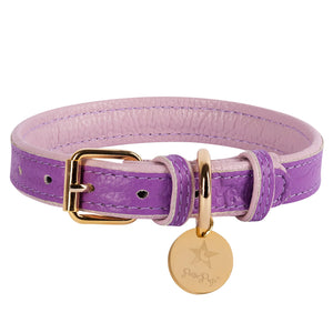 Poise Pup Leather Dog Collar