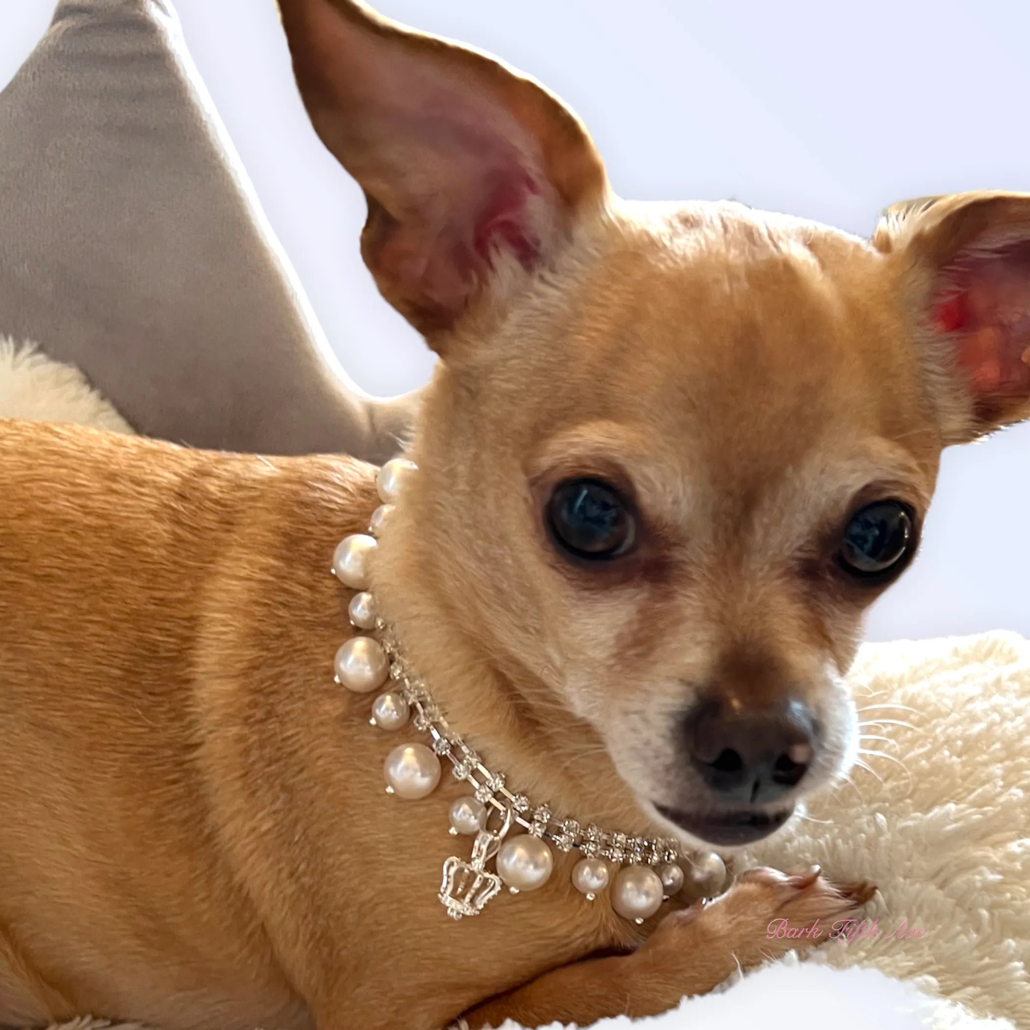 Rhinestone & Pearl Dog Necklace