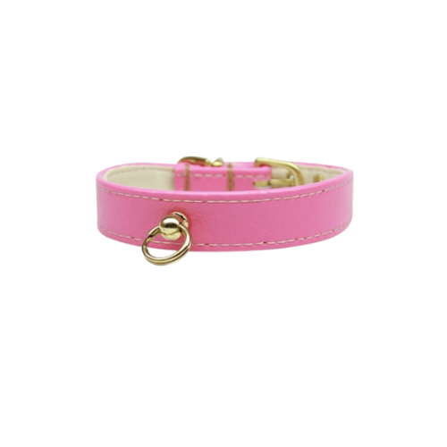 Bee Mine Dog Collar