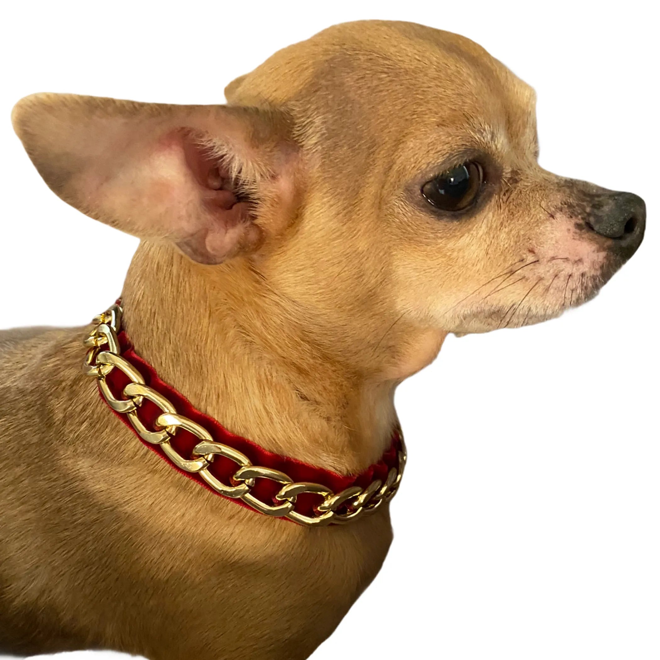 Gold Tone Chain & Velvet Dog Necklace