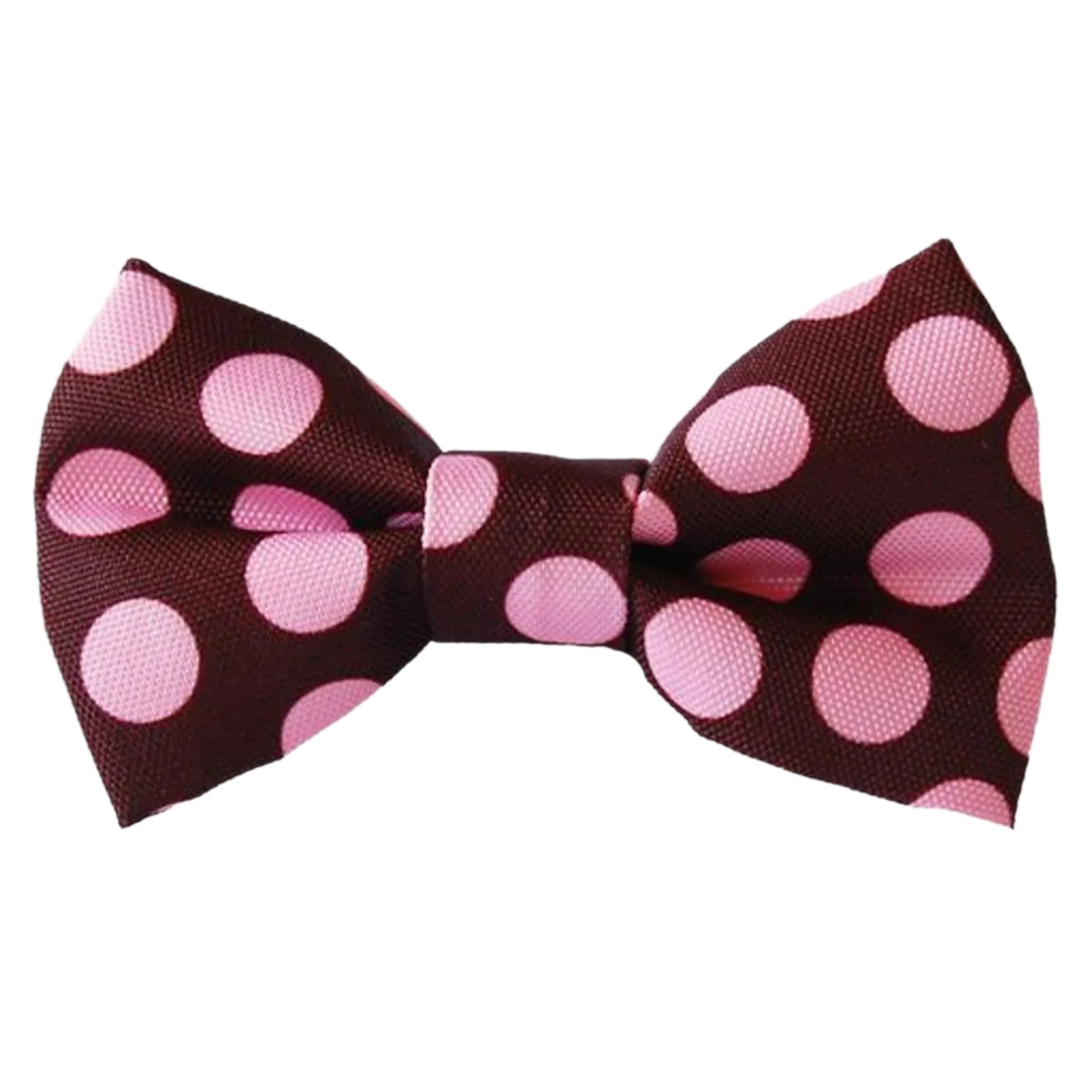 Polka Dot Dog Bow Tie