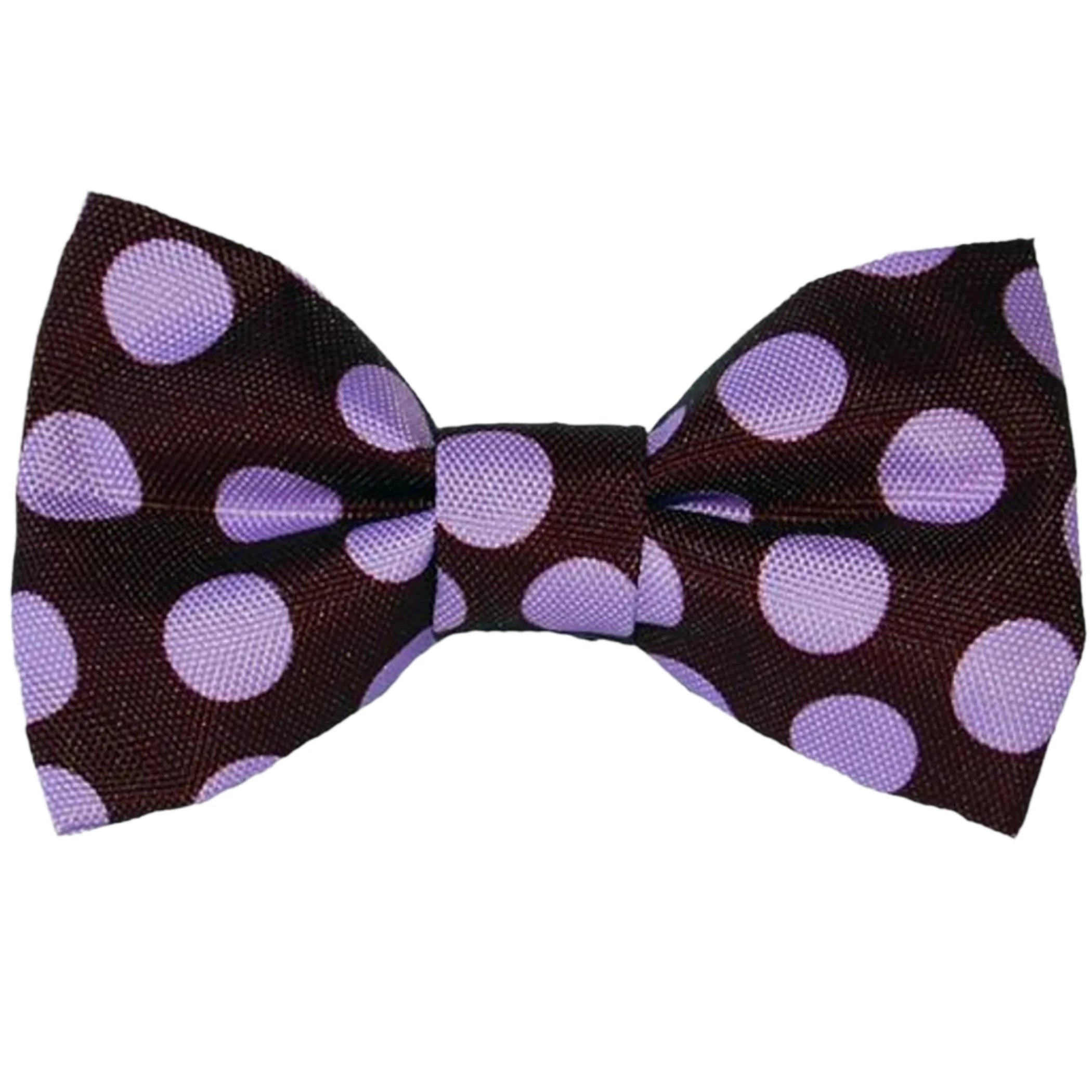 Polka Dot Dog Bow Tie