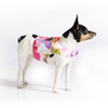 The DCNY Fine Art Frolic vest style dog harness features an exclusive print, a stunning watercolor garden floral design custom printed on cotton twill