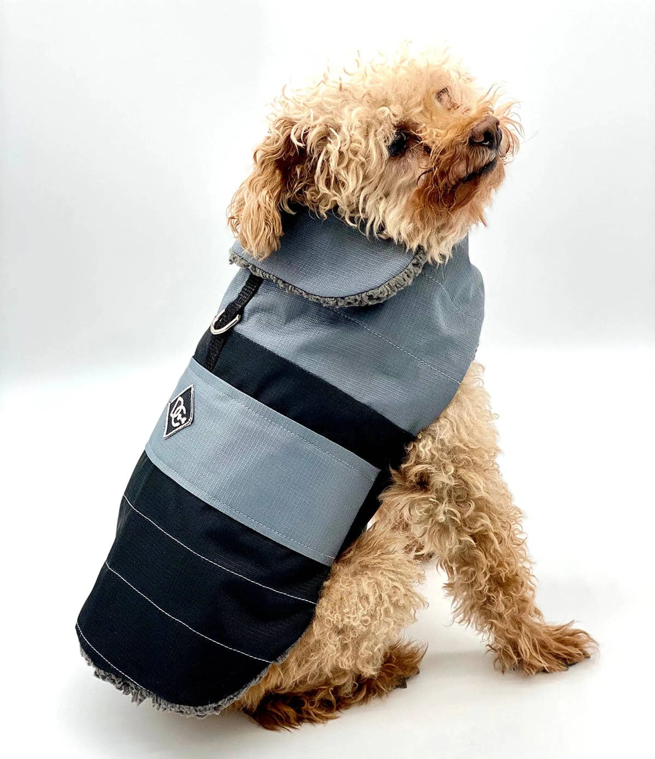 DoggieCoutureNY Water Resistant Dog Coat