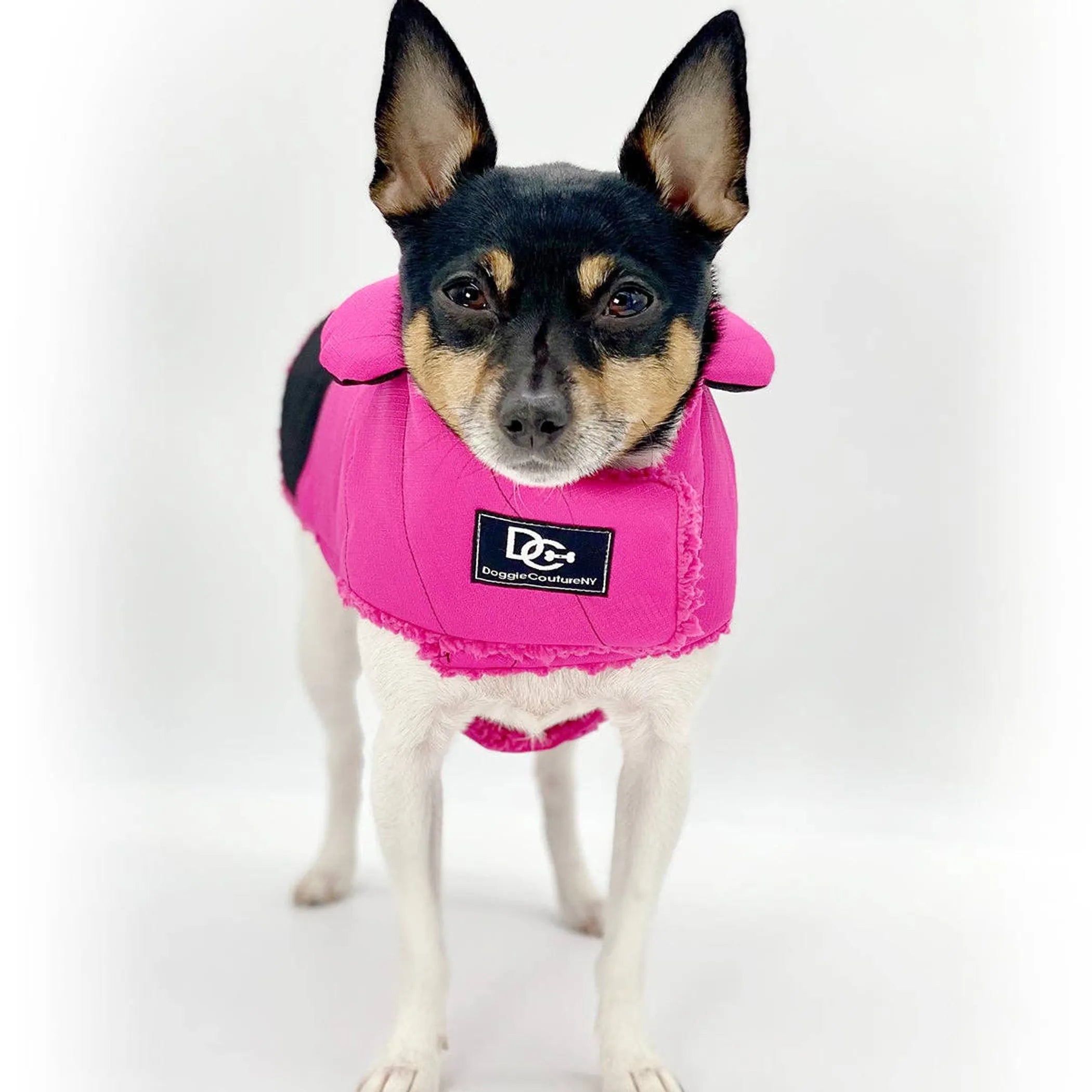 DoggieCoutureNY Water Resistant Dog Coat