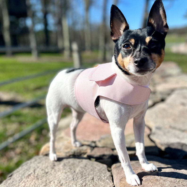 DCNY vest style dog harness in Blush Pink