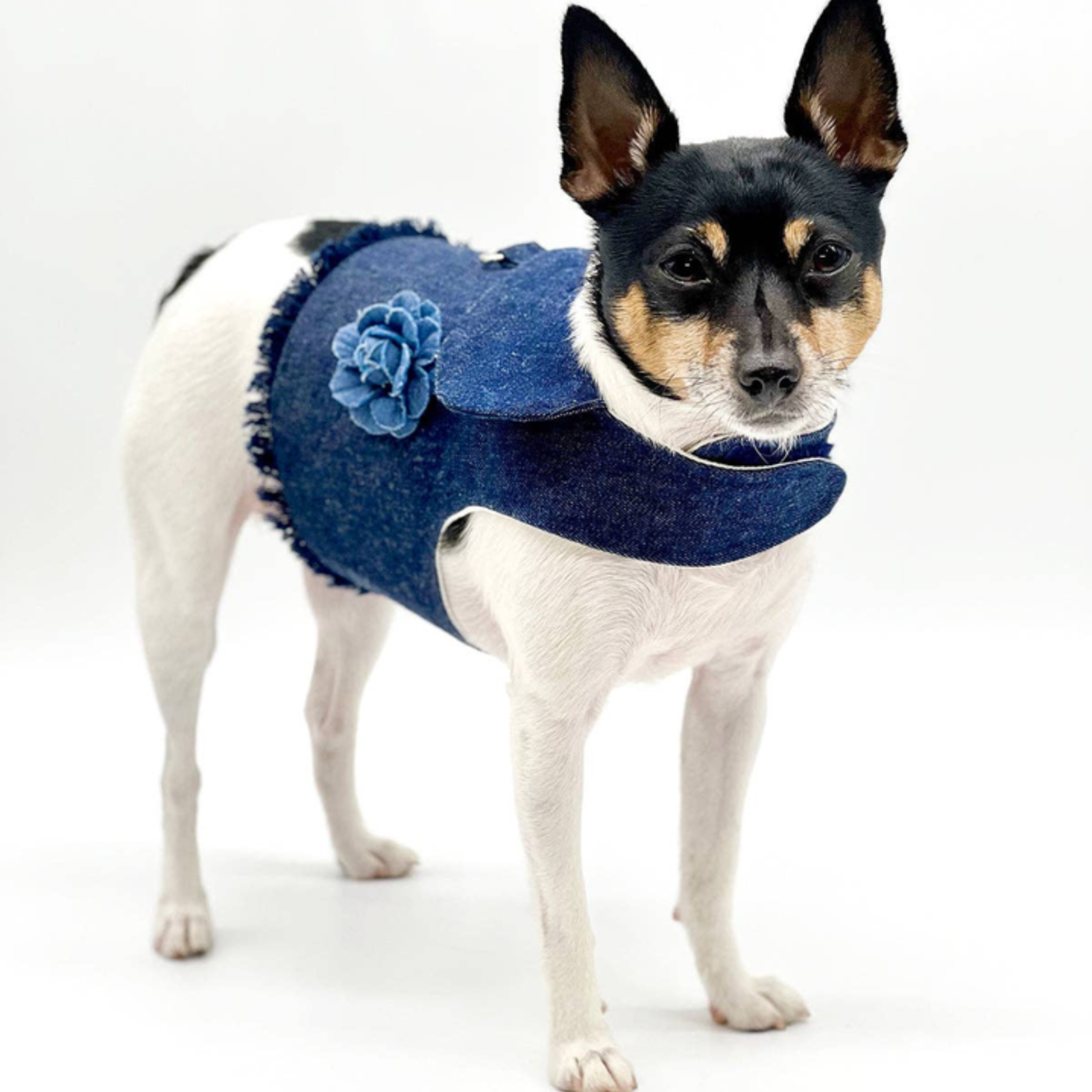 DCNY vest style dog harness available in Denim with denim flower and fringe detail.