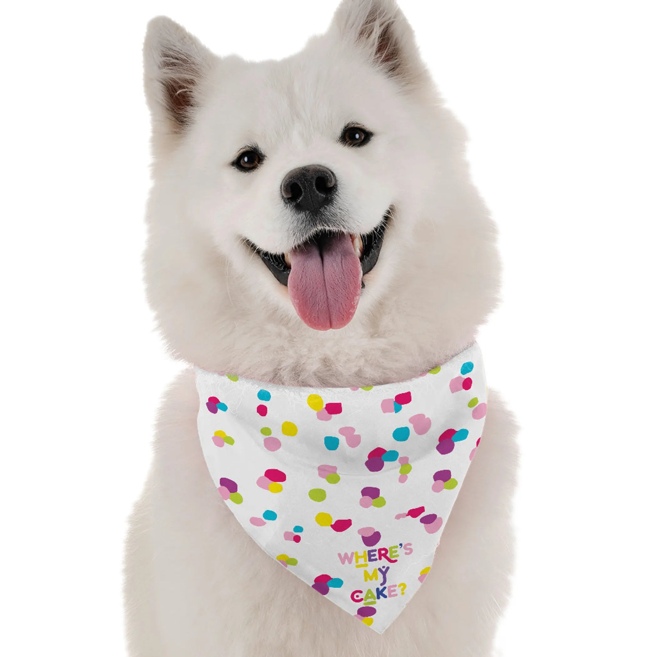 Where's My Cake Dog Bandana--Bright