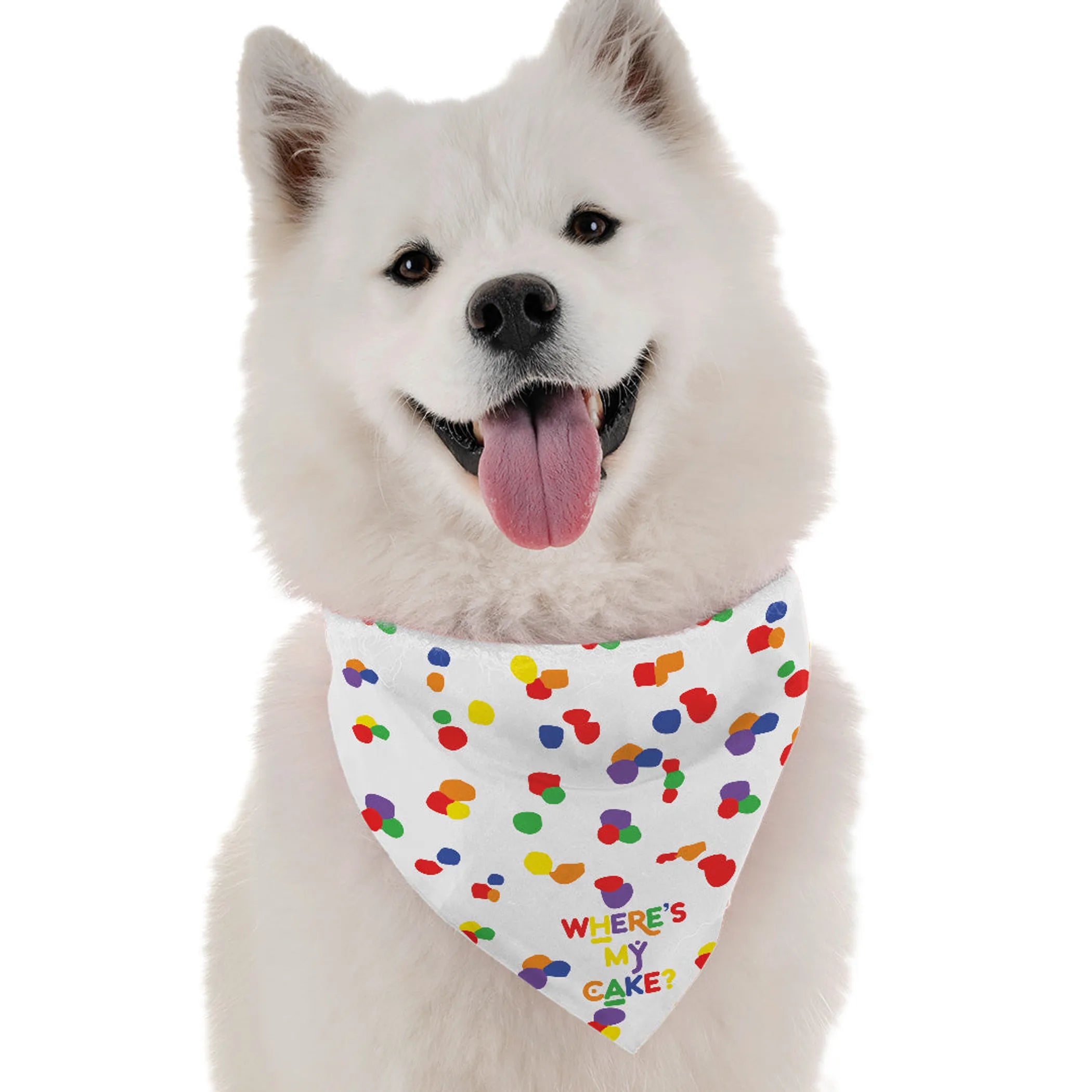 Where's My Cake Dog Bandana--Primary