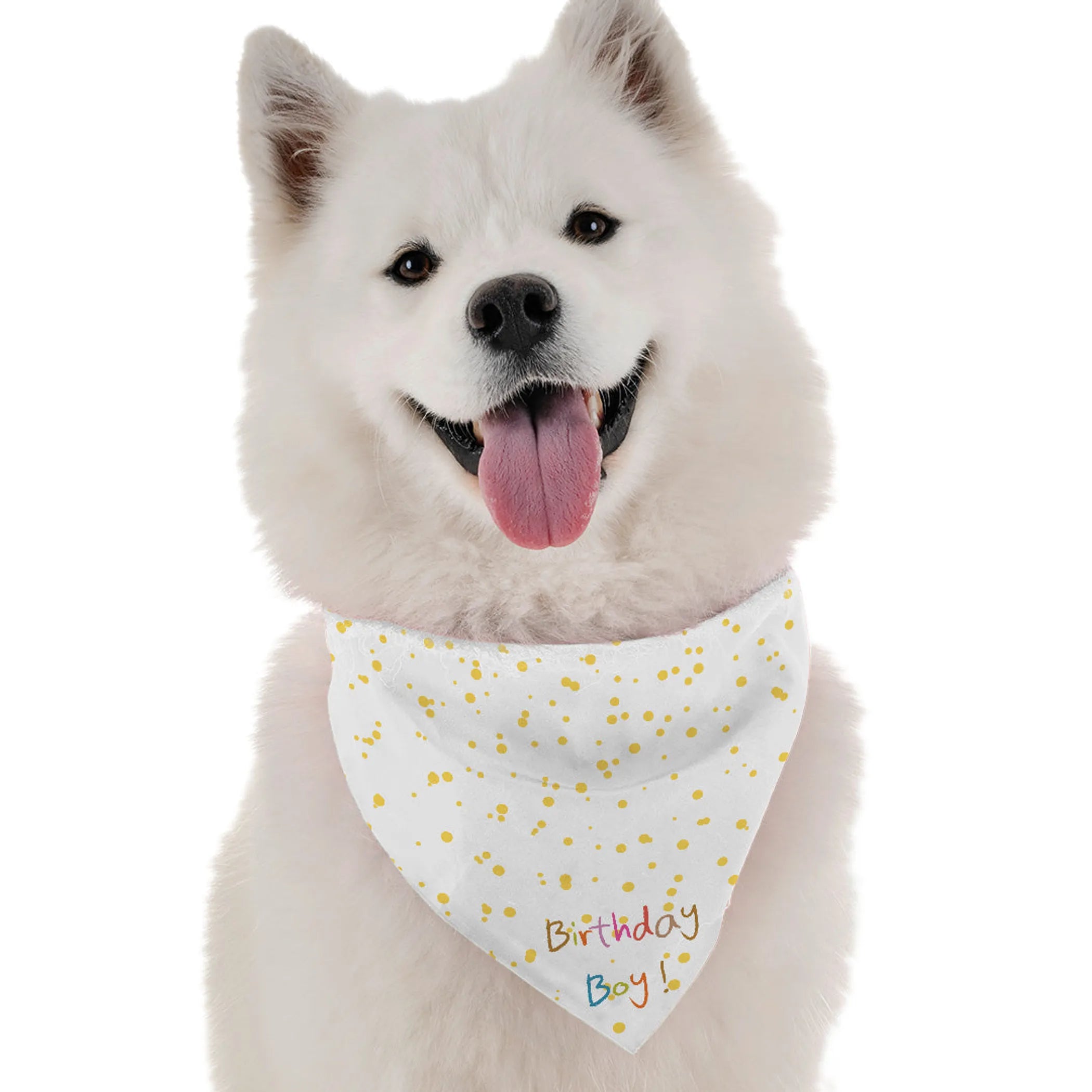 Dog Celebratory Bandanas