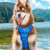 Dockside Adventures Ultimate Dog Harness