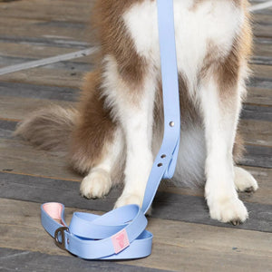 Blue Sky Orchid Waterproof Leash