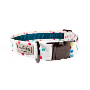 Celebration Birthday Rainbow Confetti Sprinkle Buckle & Martingale Dog Collar - Pack Of: 1