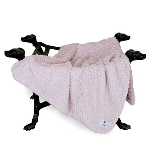 Luxuriously Soft Paris Dog Blanket