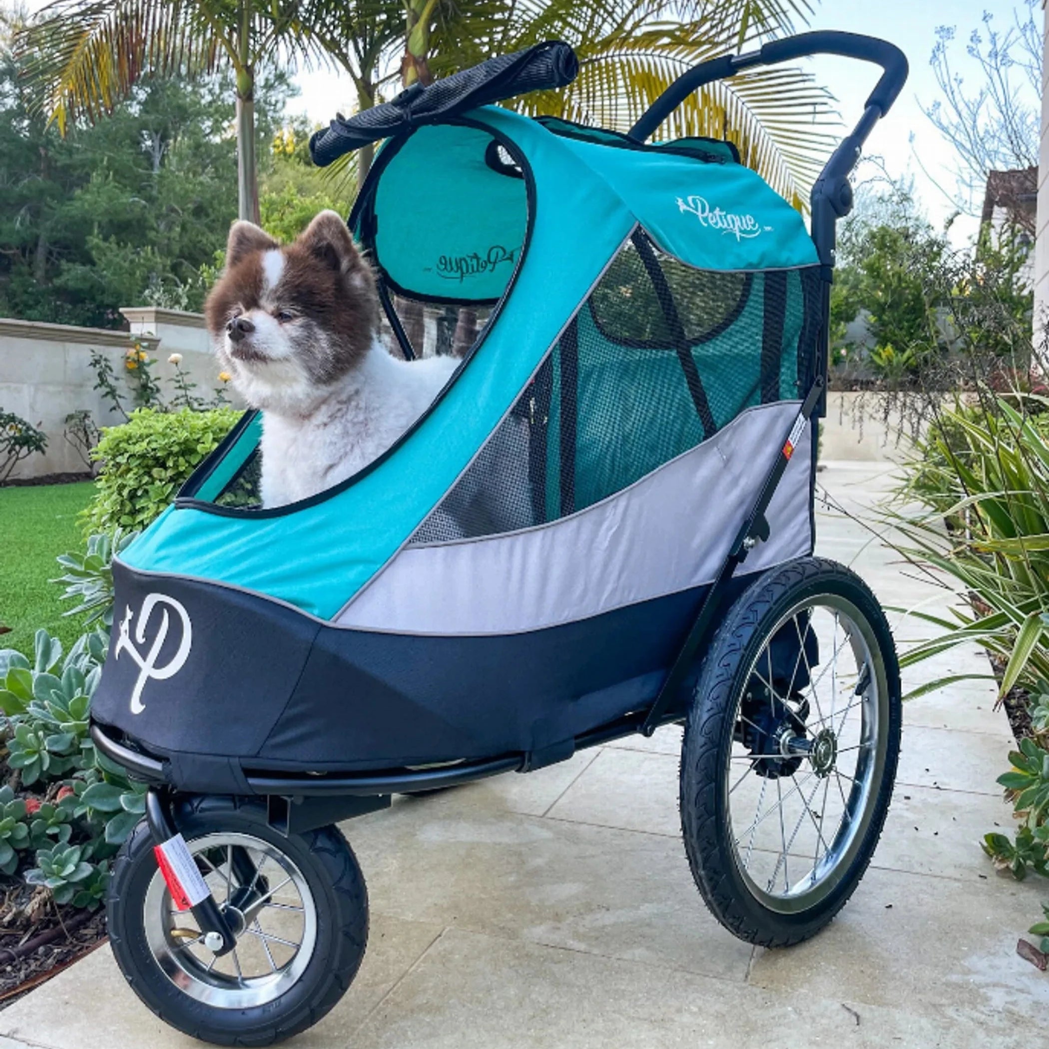 Trailblazer Pet Jogger