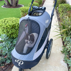 Trailblazer Pet Jogger