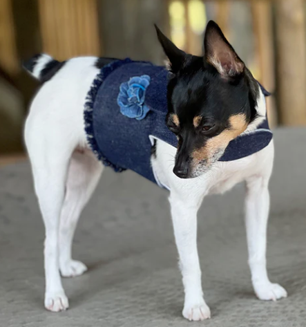 DCNY vest style dog harness available in Denim with denim flower and fringe detail.