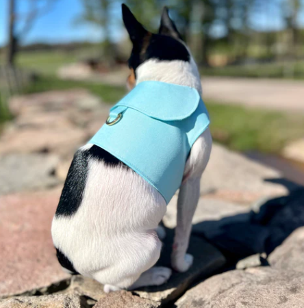 DCNY vest style dog harness in Aqua