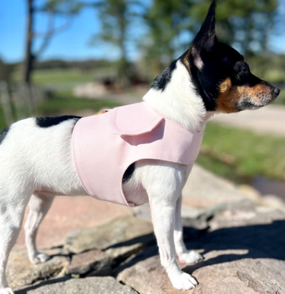 DCNY vest style dog harness in Blush Pink