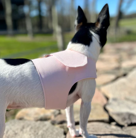 DCNY vest style dog harness in Blush Pink