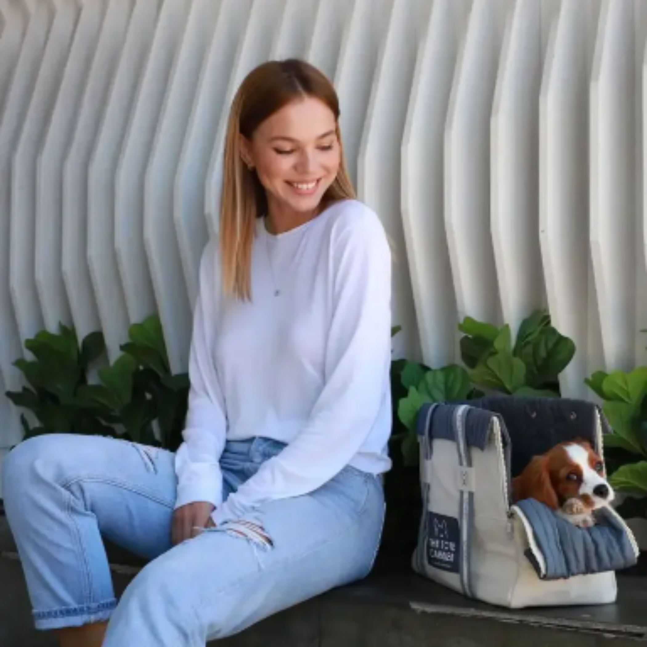 NANDOG Dog Carrier Tote